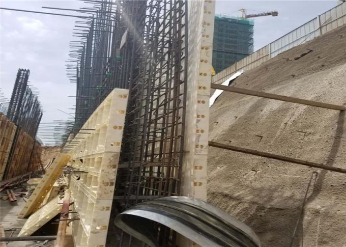 Cassaforma di plastica del sistema della cassaforma della costruzione di edifici per i mura di cemento